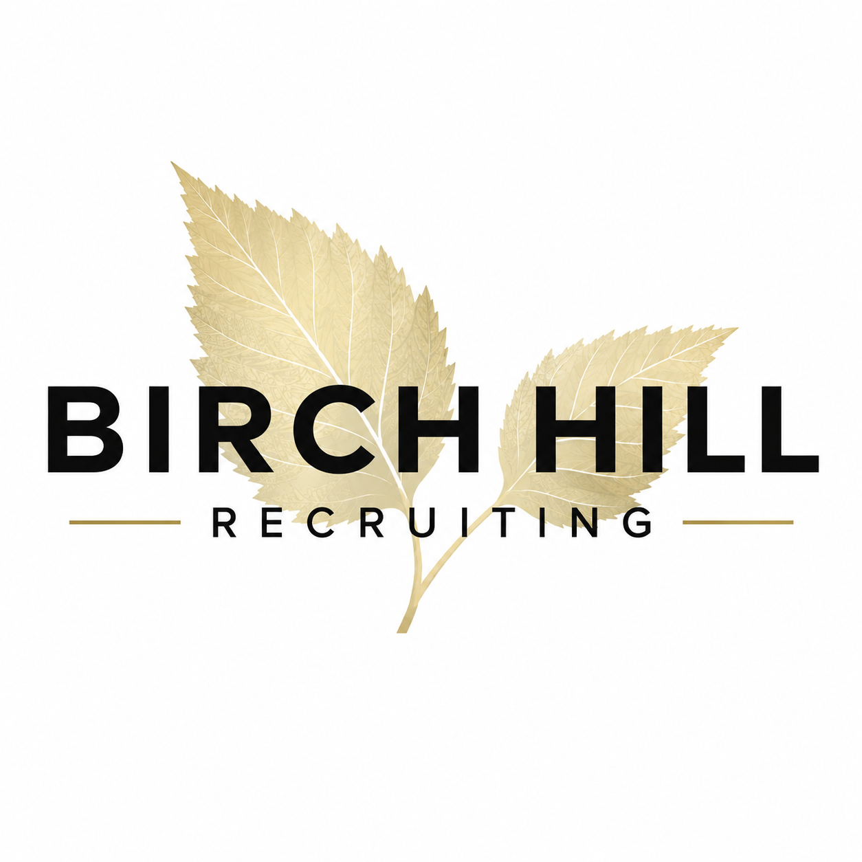 Birch Hill Recruiting